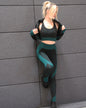 Trois Seamless Leggings & Sports Top 2 Set - Black with Teal Blue New Era Fashion LLc