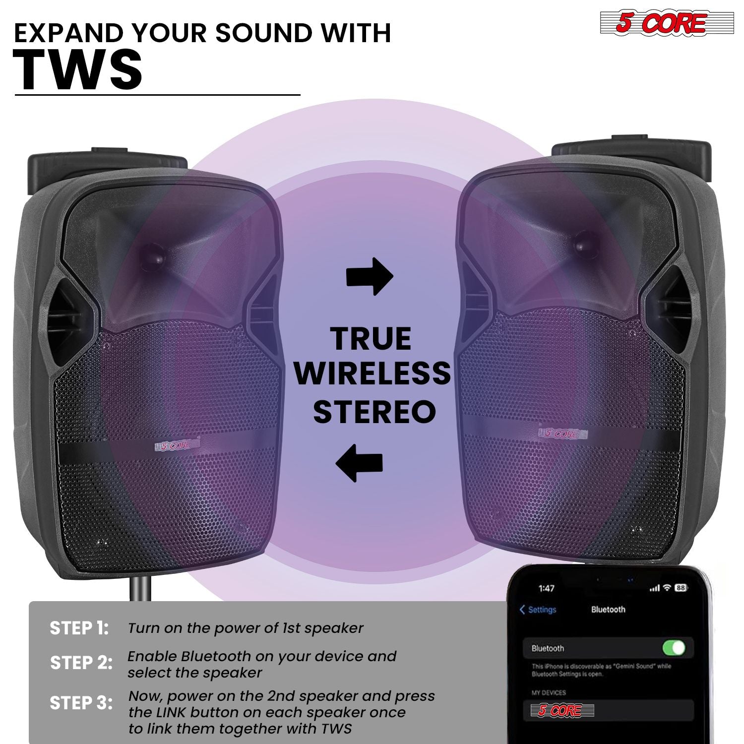 5 Core Party Speaker Bluetooth 250W Big Monster Powered Rechargeable Outdoor PA DJ System w Disco Lights 2 Wireless Karaoke Mics Portable Rolling Speakers w Handle Black - ACTIVE HOME 8 2-MIC New Era Fashion LLc