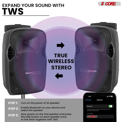 5 Core Party Speaker Bluetooth 250W Big Monster Powered Rechargeable Outdoor PA DJ System w Disco Lights 2 Wireless Karaoke Mics Portable Rolling Speakers w Handle Black - ACTIVE HOME 8 2-MIC New Era Fashion LLc