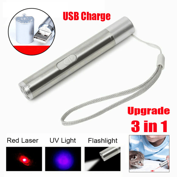 3 in1 1mw USB Rechargeable Pet Toy Pen Flashlight Red laser Beam UV Light 3-Modes Lamp New Era Fashion LLc