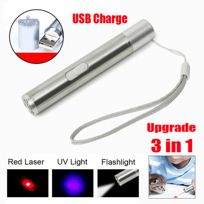 3 in1 1mw USB Rechargeable Pet Toy Pen Flashlight Red laser Beam UV Light 3-Modes Lamp New Era Fashion LLc