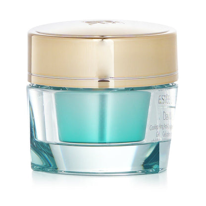 DayWear Eye Cooling Anti-Oxidant Moisture Gel Cream New Era Fashion LLc