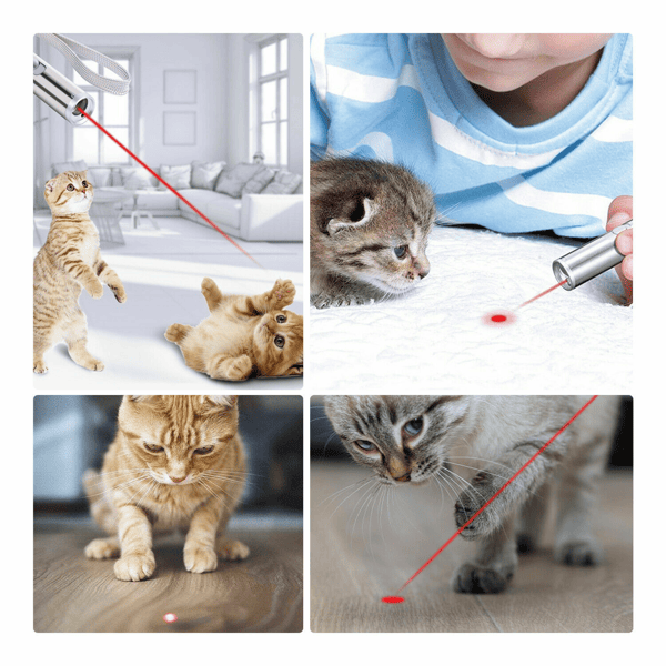 3 in1 1mw USB Rechargeable Pet Toy Pen Flashlight Red laser Beam UV Light 3-Modes Lamp New Era Fashion LLc