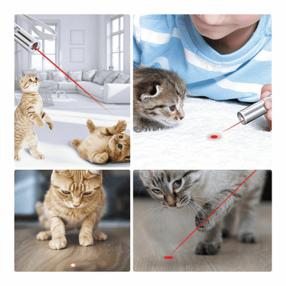3 in1 1mw USB Rechargeable Pet Toy Pen Flashlight Red laser Beam UV Light 3-Modes Lamp New Era Fashion LLc