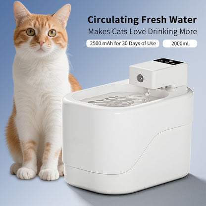 Cat Water Fountain, Pet Water Fountain New Era Fashion LLc