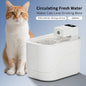 Cat Water Fountain, Pet Water Fountain New Era Fashion LLc