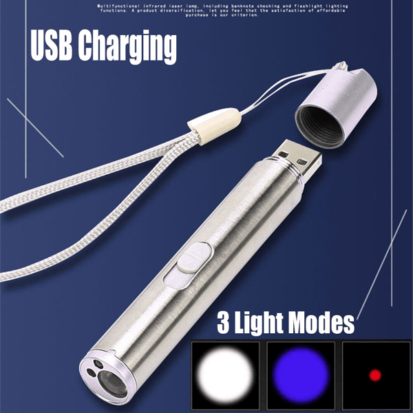 3 in1 1mw USB Rechargeable Pet Toy Pen Flashlight Red laser Beam UV Light 3-Modes Lamp New Era Fashion LLc
