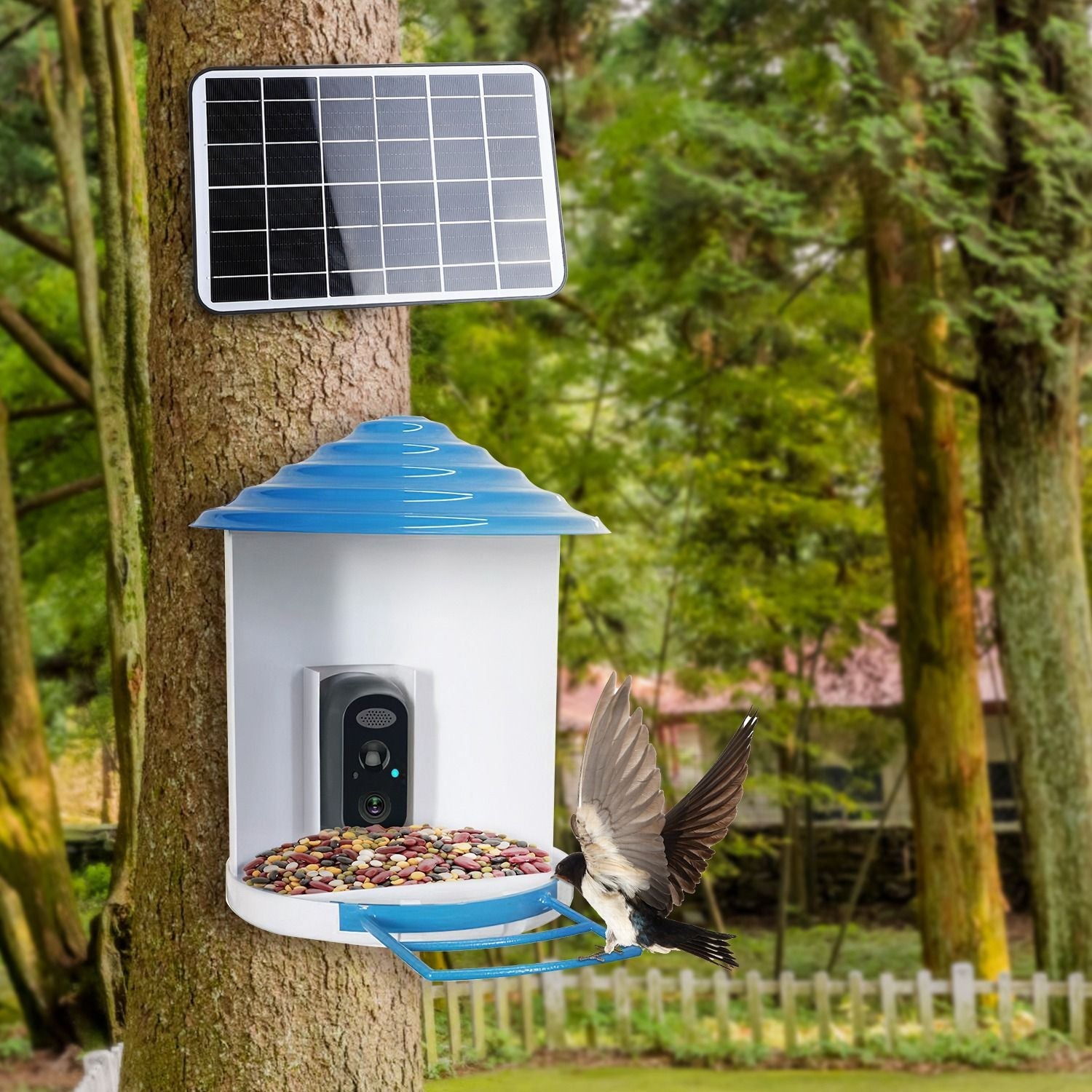 Smart Bird Feeder with Solar Powered Camera 1080P HD AI Identify PIR Motion Auto Capture Video Cloud Card Storage WiFi Connection App Control IP65 Waterproof New Era Fashion LLc