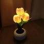 Tulip Lamp - LED Replica Tulip Table Lamp with Flower Vase for Desktop Decoration. Suitable for home, living room, desktop decoration, holiday gifts, atmosphere decoration lamps. Powered by USB New Era Fashion LLc