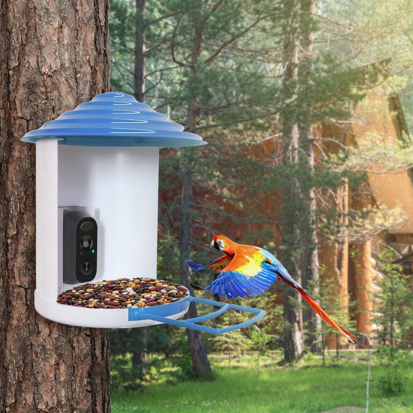 Smart Bird Feeder with Solar Powered Camera 1080P HD AI Identify PIR Motion Auto Capture Video Cloud Card Storage WiFi Connection App Control IP65 Waterproof New Era Fashion LLc