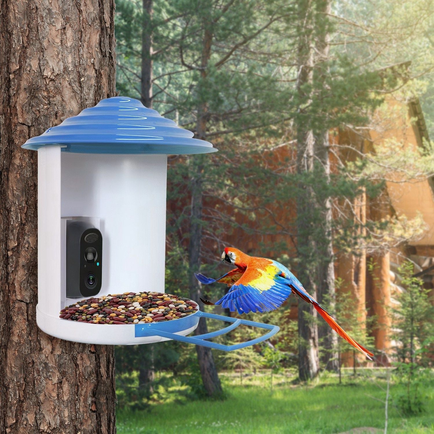 Smart Bird Feeder with Solar Powered Camera 1080P HD AI Identify PIR Motion Auto Capture Video Cloud Card Storage WiFi Connection App Control IP65 Waterproof New Era Fashion LLc