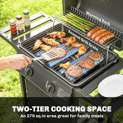 2 Burner Propane Gas Grill, 18000 BTU BBQ Grill with Wheels, Warming Rack, Shelf, Thermometer, Grease Cup, Black New Era Fashion LLc