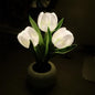 Tulip Lamp - LED Replica Tulip Table Lamp with Flower Vase for Desktop Decoration. Suitable for home, living room, desktop decoration, holiday gifts, atmosphere decoration lamps. Powered by USB New Era Fashion LLc