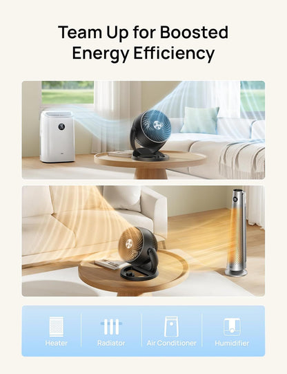 Fan for Bedroom, 12 Inches, 70ft Powerful Airflow, 25db Quiet Table Air Circulator Fans for Whole Room, 120° Adjustable Tilt, 3 Speeds, Desktop Fan for Home, Office, Kitchen New Era Fashion LLc