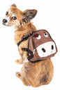 Pet Life 'Mooltese' Large-Pocketed Compartmental Animated Dog Harness Backpack New Era Fashion LLc