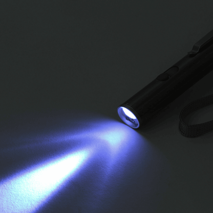 3 in1 1mw USB Rechargeable Pet Toy Pen Flashlight Red laser Beam UV Light 3-Modes Lamp New Era Fashion LLc