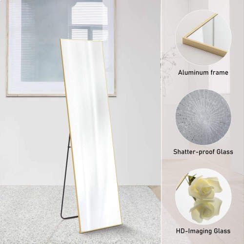 Floor Standing Mirror, Wall Mirror with Stand Aluminum Alloy Thin Frame,21''*64'',Black-rect New Era Fashion LLc