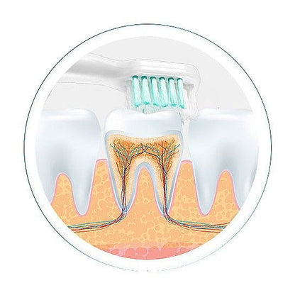 Ultrasonic Electro Toothbrush With Two Additional Brush Heads New Era Fashion LLc