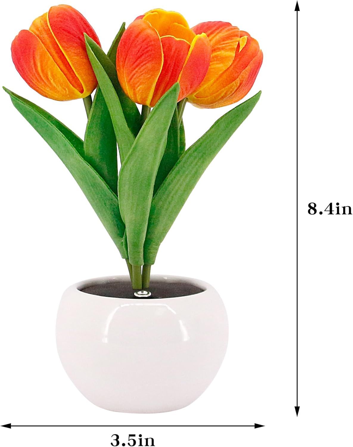Tulip Lamp - LED Replica Tulip Table Lamp with Flower Vase for Desktop Decoration. Suitable for home, living room, desktop decoration, holiday gifts, atmosphere decoration lamps. Powered by USB New Era Fashion LLc
