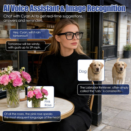 AI Smart Glasses with Camera and Audio 8MP HD1080P Real Time Translation 139 Languages Voice Assistant AI Photo Recognition Music Playback & Hands-Free Calling for Travel Meeting Vlog New Era Fashion LLc