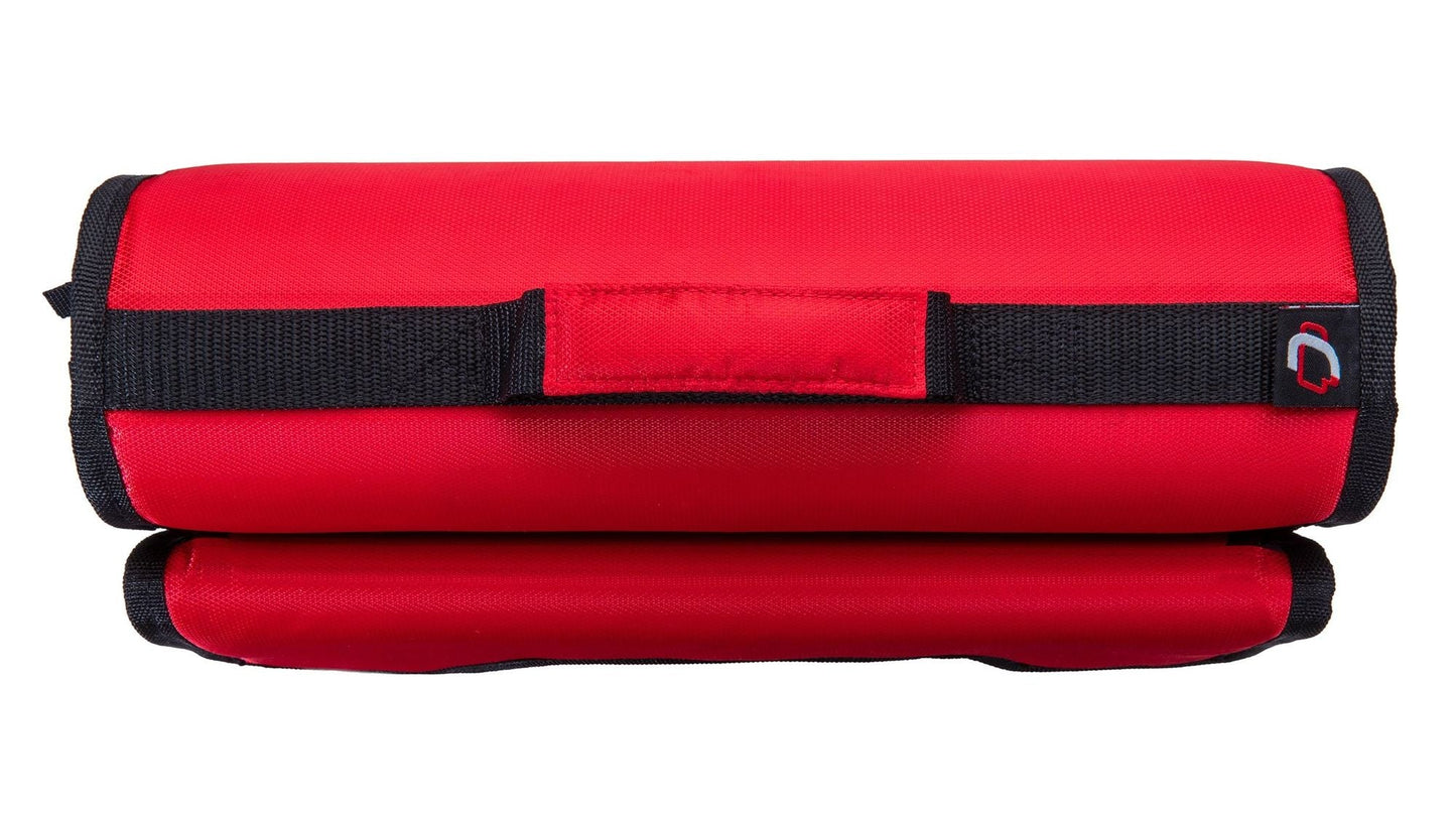 Medium Portable Medical Binder / Organizer New Era Fashion LLc