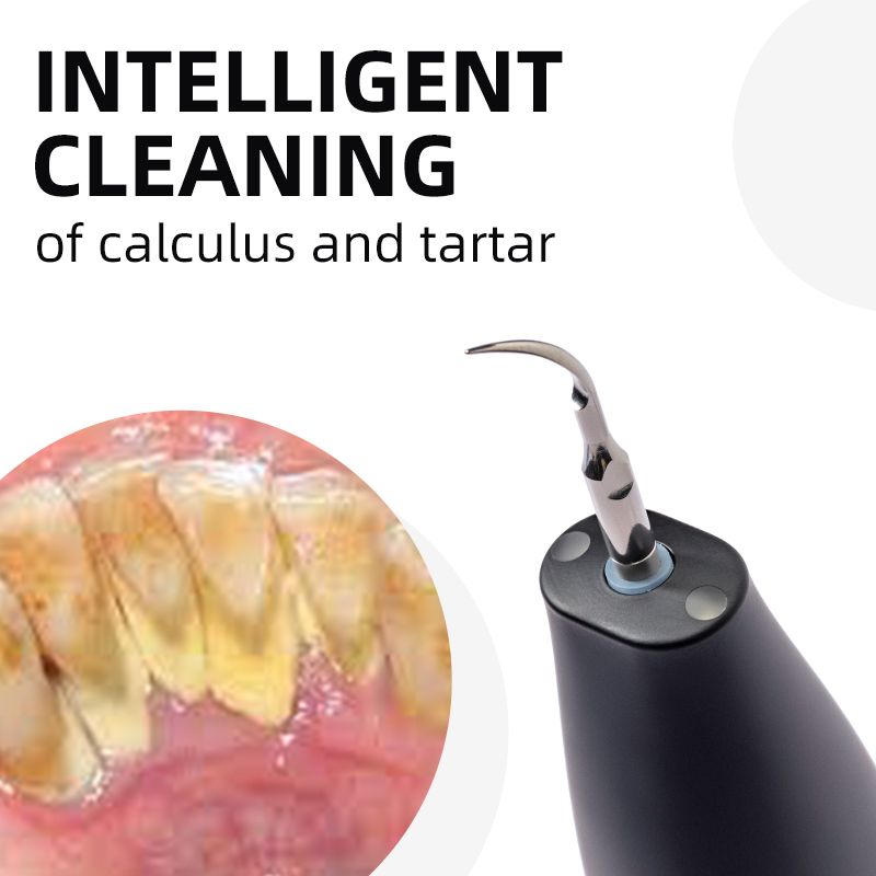 Sonic Electric Dental Plaque Remover New Era Fashion LLc