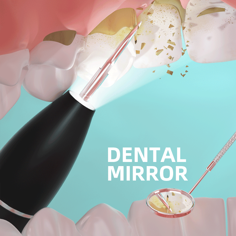Sonic Electric Dental Plaque Remover New Era Fashion LLc