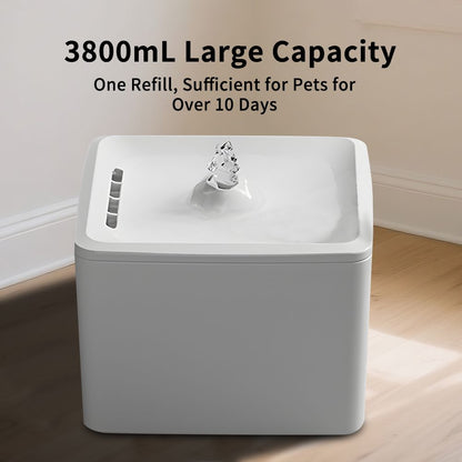 Cat Water Fountain, Pet Water Fountain, New Era Fashion LLc