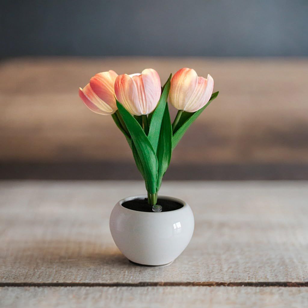 Tulip Lamp - LED Replica Tulip Table Lamp with Flower Vase for Desktop Decoration. Suitable for home, living room, desktop decoration, holiday gifts, atmosphere decoration lamps. Powered by USB New Era Fashion LLc