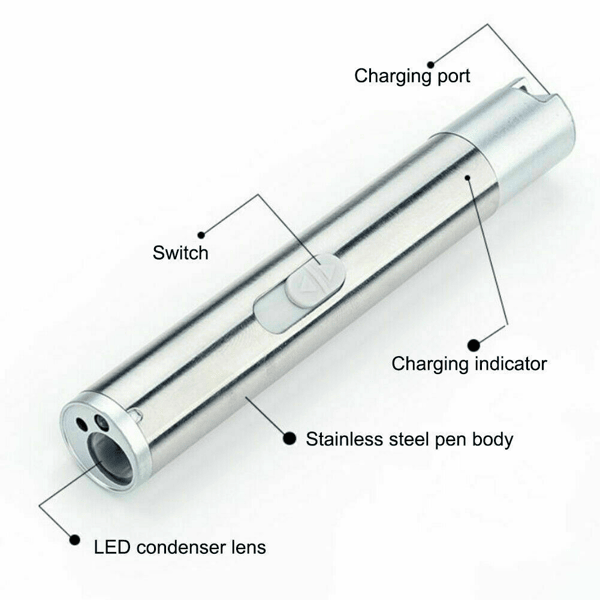 3 in1 1mw USB Rechargeable Pet Toy Pen Flashlight Red laser Beam UV Light 3-Modes Lamp New Era Fashion LLc