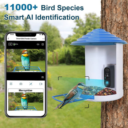 Smart Bird Feeder with Solar Powered Camera 1080P HD AI Identify PIR Motion Auto Capture Video Cloud Card Storage WiFi Connection App Control IP65 Waterproof New Era Fashion LLc
