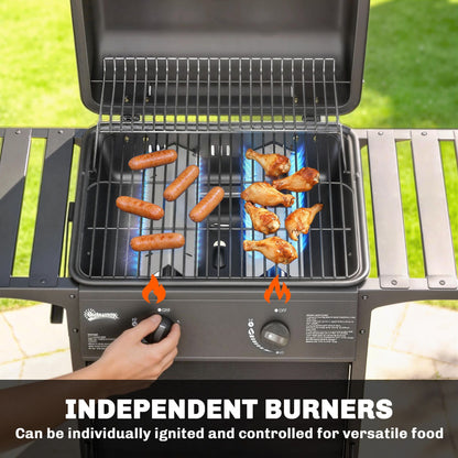2 Burner Propane Gas Grill, 18000 BTU BBQ Grill with Wheels, Warming Rack, Shelf, Thermometer, Grease Cup, Black New Era Fashion LLc