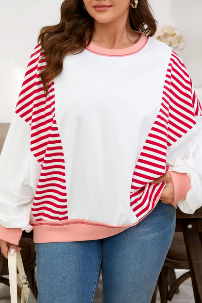 Red Stripe Color Block Patchwork Seam Detail Plus Size Sweatshirt Garden Naked Curves