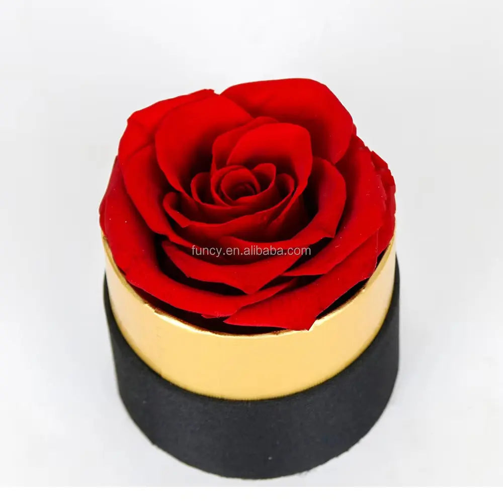 Elegant Custom Logo Preserved Roses Gift Box - Perfect for Mother's Day and Special Occasions