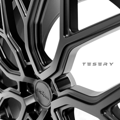 TESERY Apex Spider-Y Forged wheels for retrofitting Tesla Model 3/Y/S Tesery Official Store