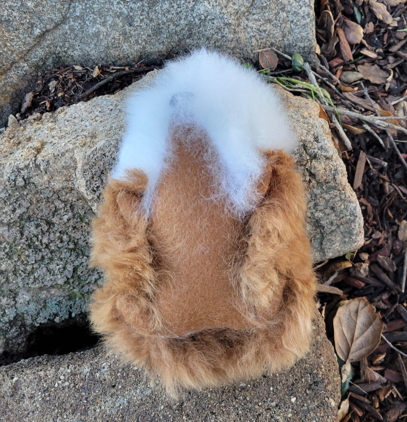 Fur Alpaca Guinea Pig ("Cuy") Purely Alpaca