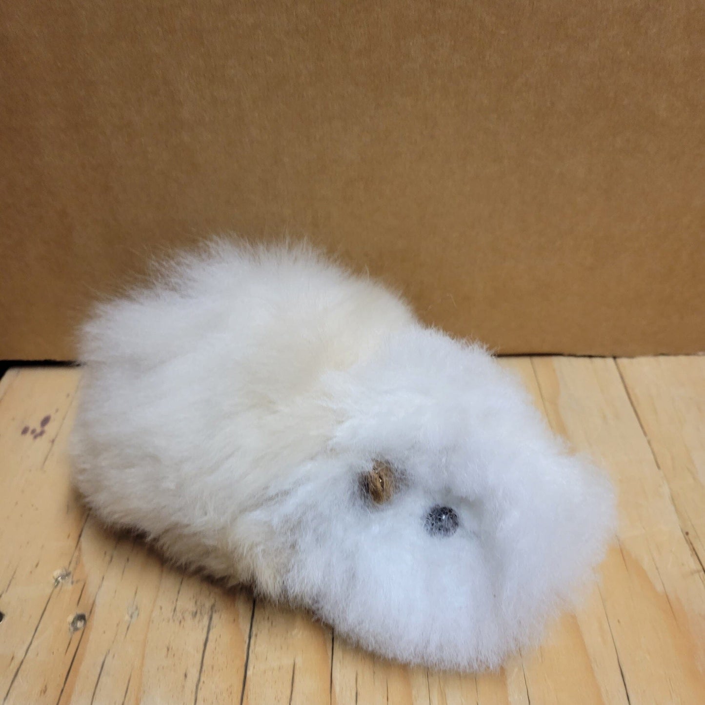 Fur Alpaca Guinea Pig ("Cuy") Purely Alpaca