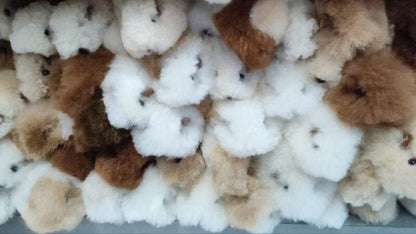 Fur Alpaca Guinea Pig ("Cuy") Purely Alpaca