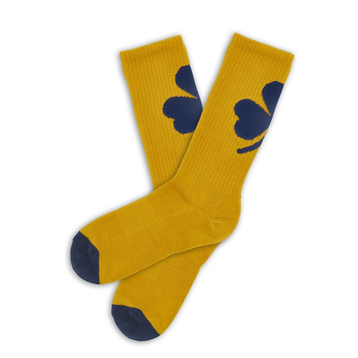 Gold / Navy Clover Casual Socks DeadSoxy
