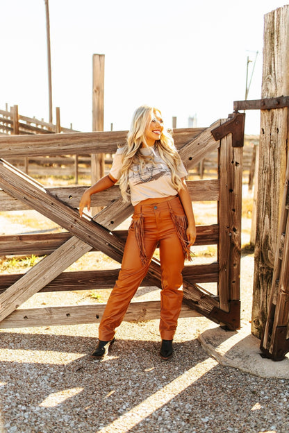 Homestead Horizon Graphic Tee Wild Junkie