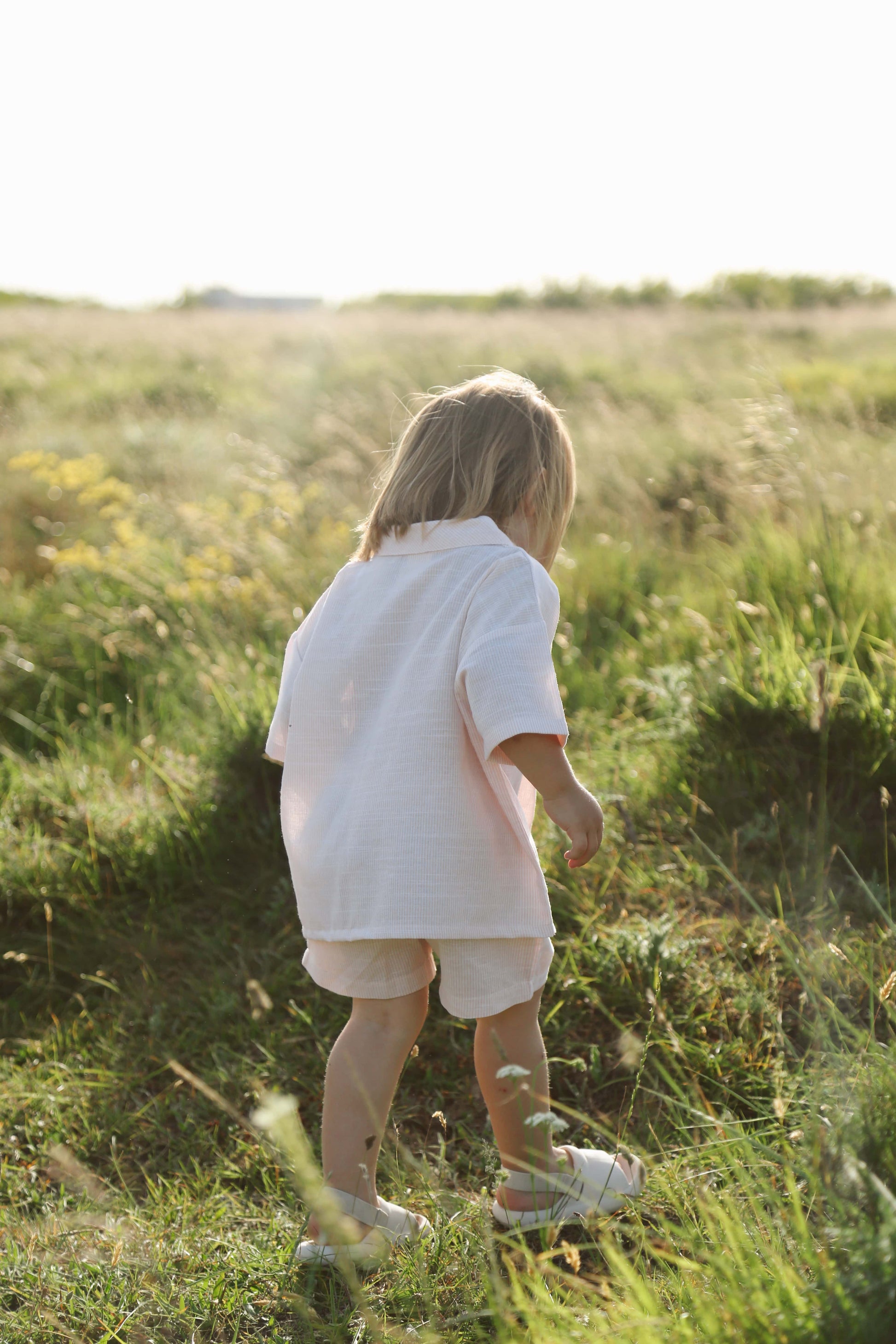 Boy Shirt-Short Set Honey and Hive