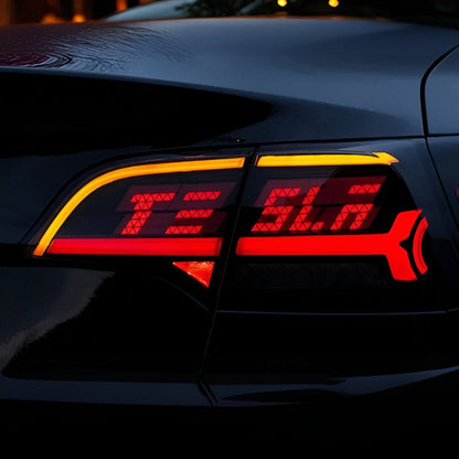 TESERY OLED APP-Controlled Tail Light for Model 3/Y Tesery Official Store