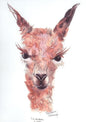 Newborn Alpaca Greeting Card by Dee Purely Alpaca