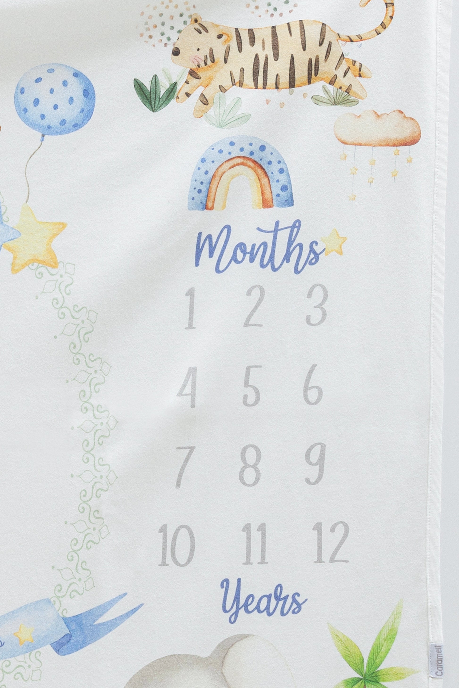 Safari Milestone Blanket Honey and Hive