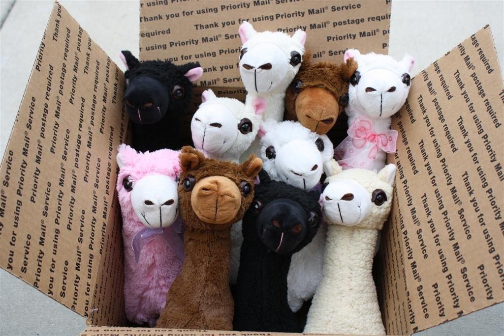 PacaBuddies Stuffed Alpaca Toys Purely Alpaca
