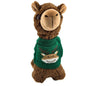 PacaBuddies Sweater Accessories Purely Alpaca