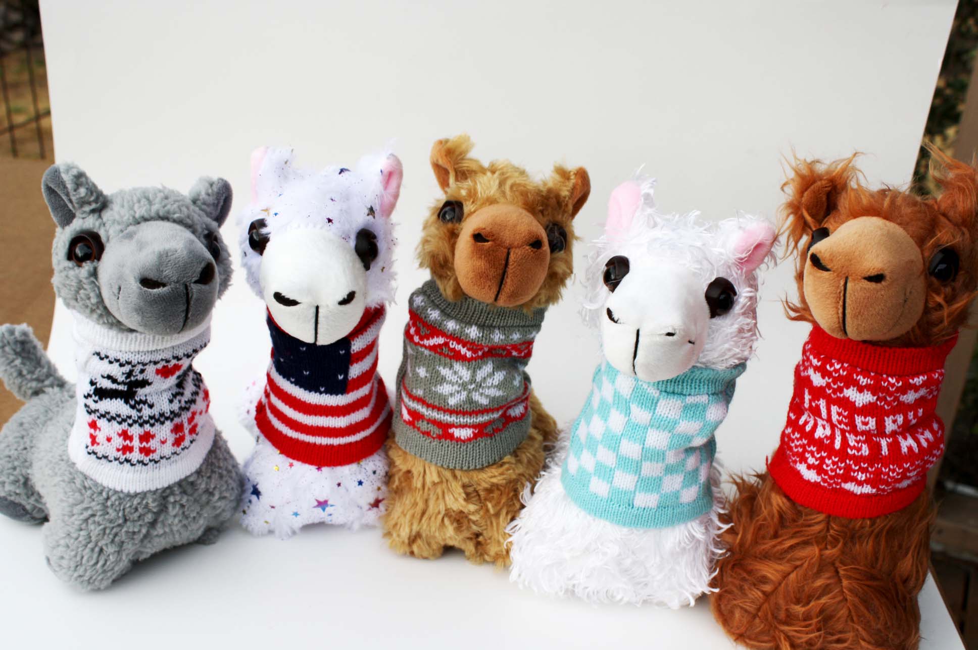 PacaBuddies Sweater Accessories Purely Alpaca