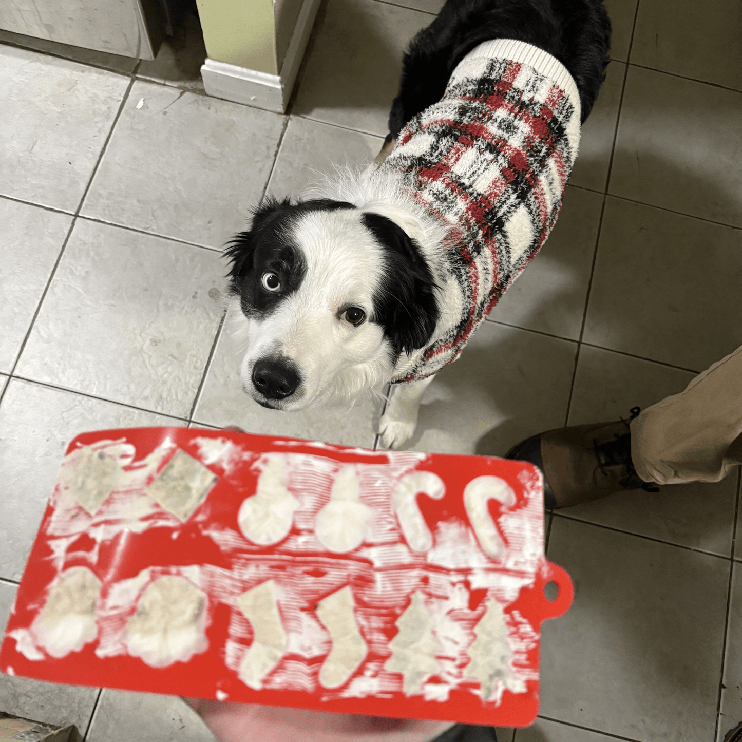 Pet Treat Molds Farm To Pet