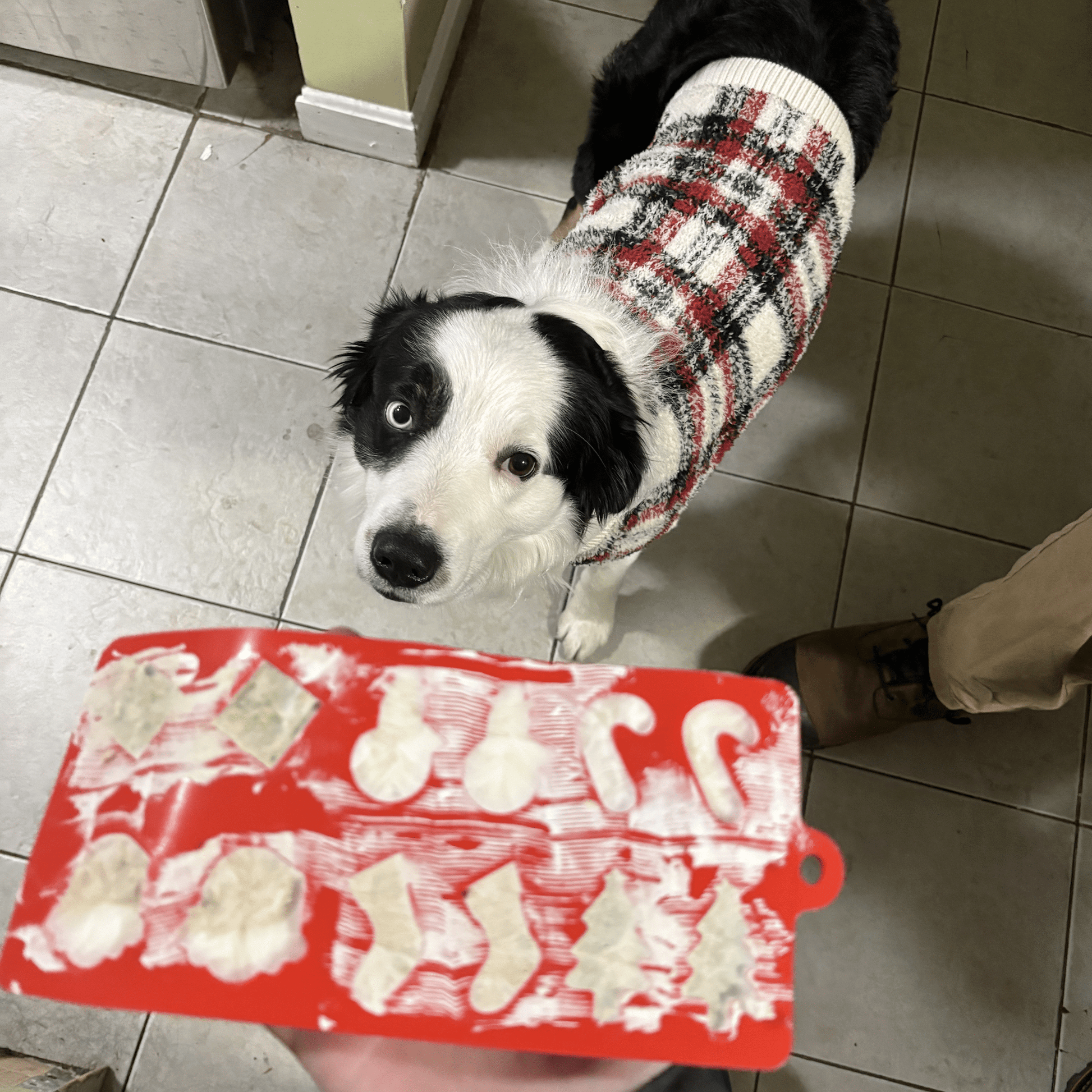 Pet Treat Molds Farm To Pet