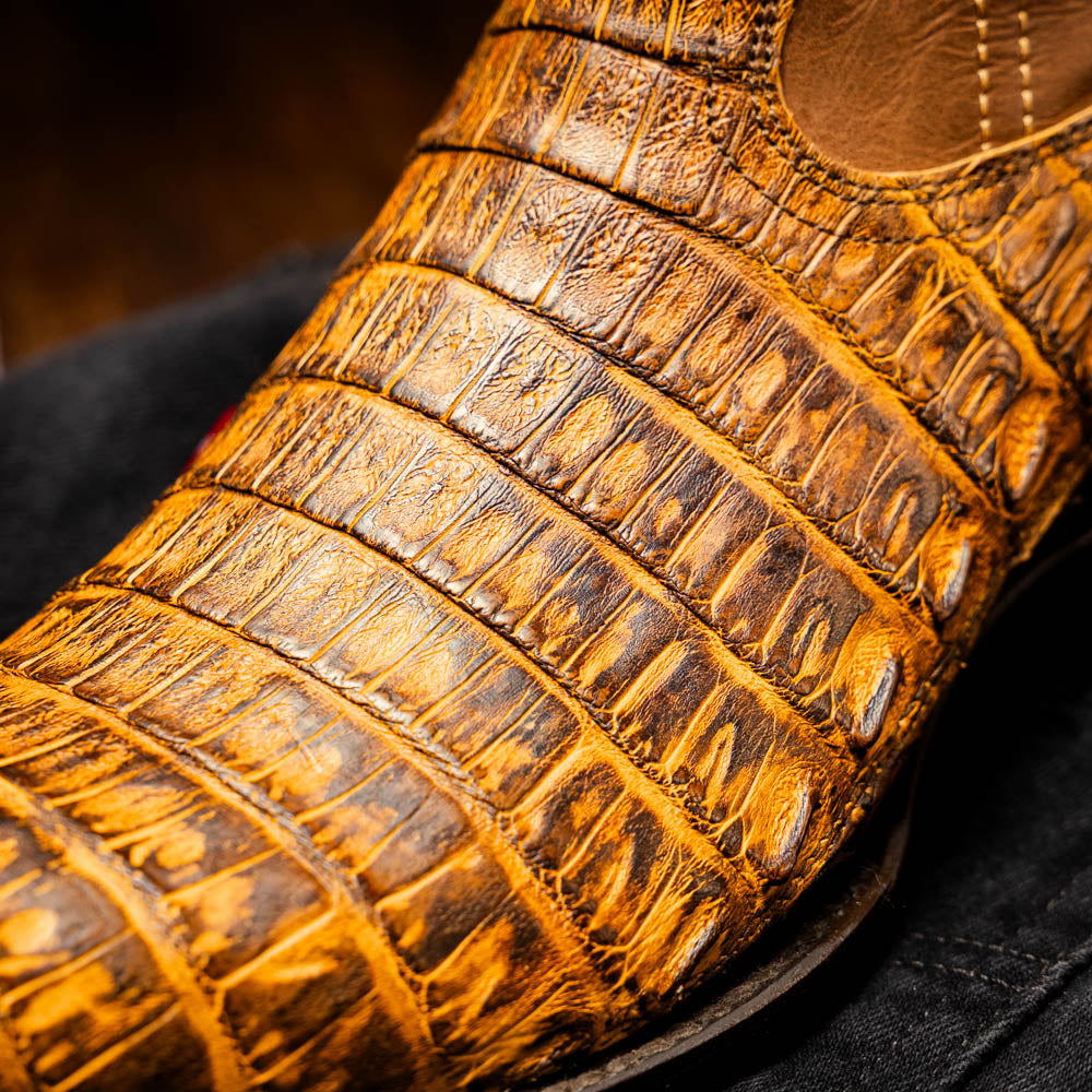 Phoenix Mustard Brown Marco Di Milano